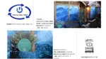 地域連携プログラム、ロゴ、天気の島、UMILEオリジナルプランター、神奈川県藤沢市のボランティア袋